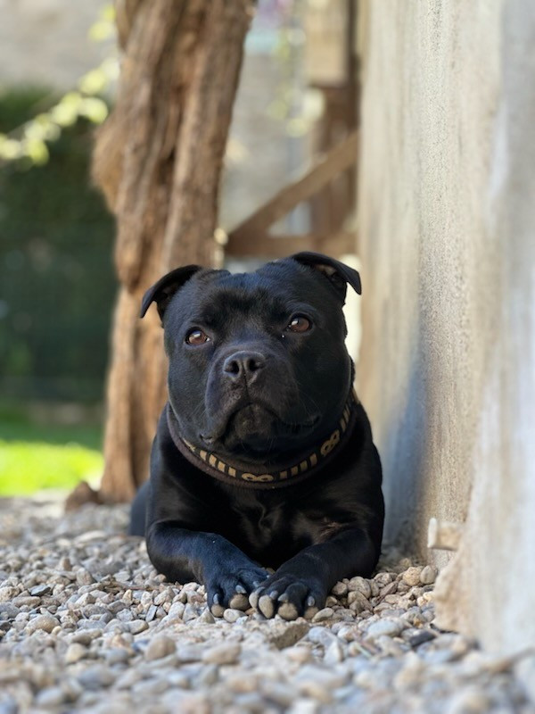 Uunder  Des Guerriers Pacifiques